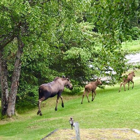 Halcyon Heights B&B/Inn Homer Kültér fotó