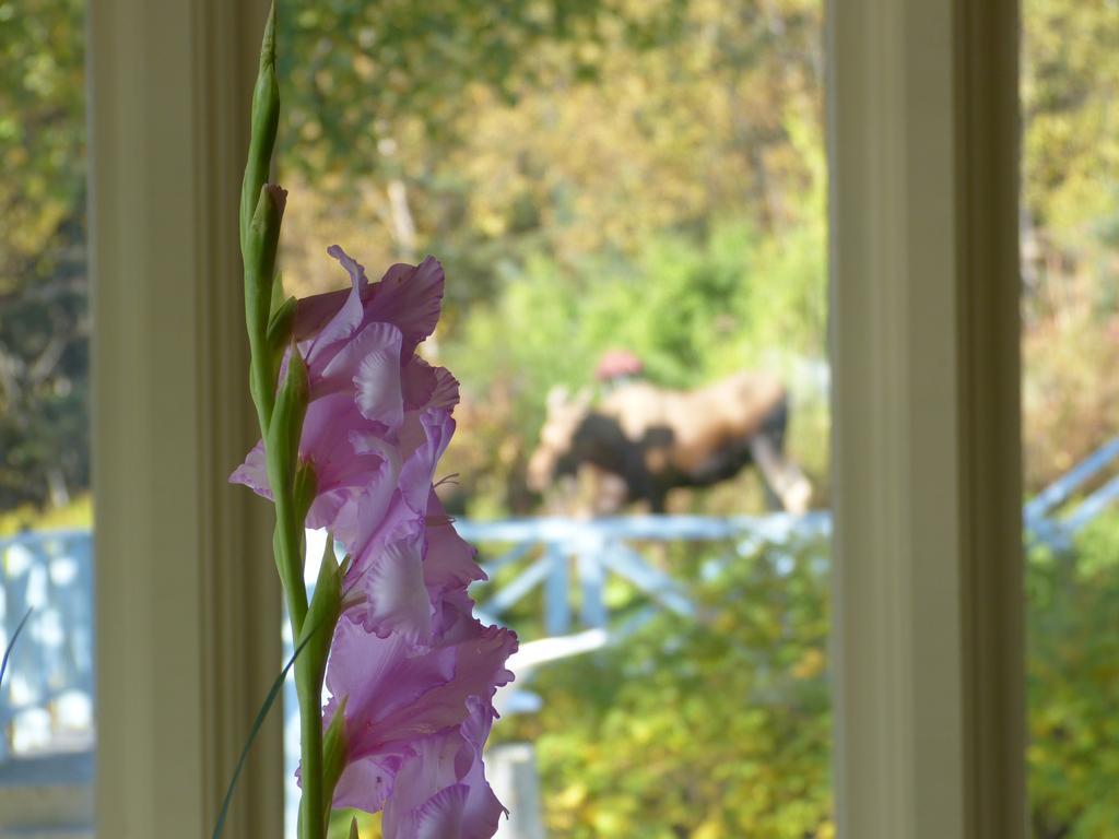Halcyon Heights B&B/Inn Homer Kültér fotó