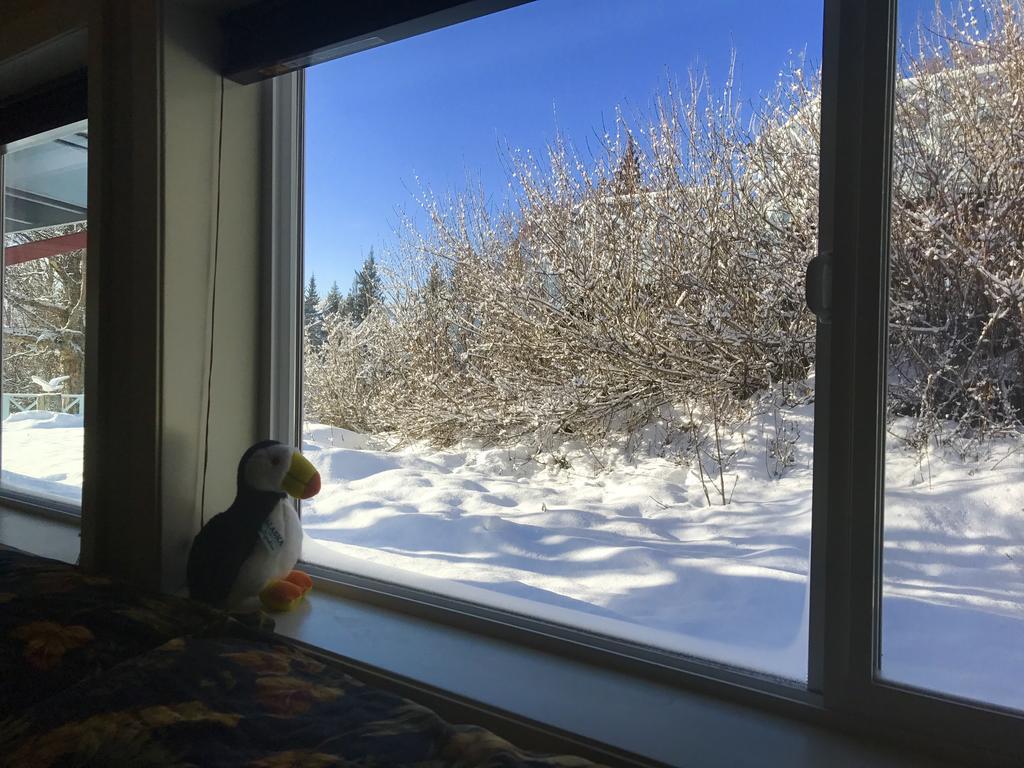Halcyon Heights B&B/Inn Homer Kültér fotó