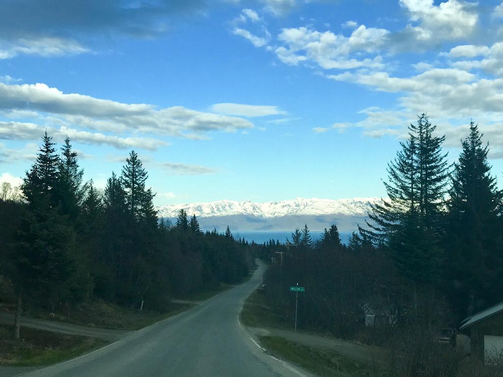 Halcyon Heights B&B/Inn Homer Kültér fotó