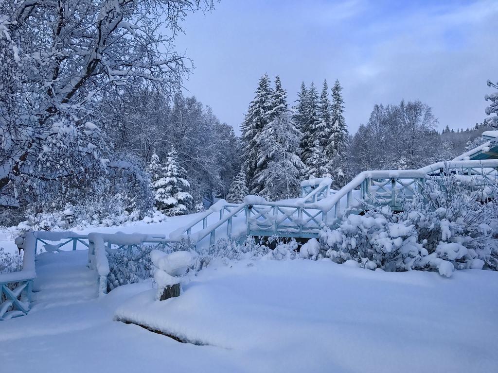Halcyon Heights B&B/Inn Homer Kültér fotó