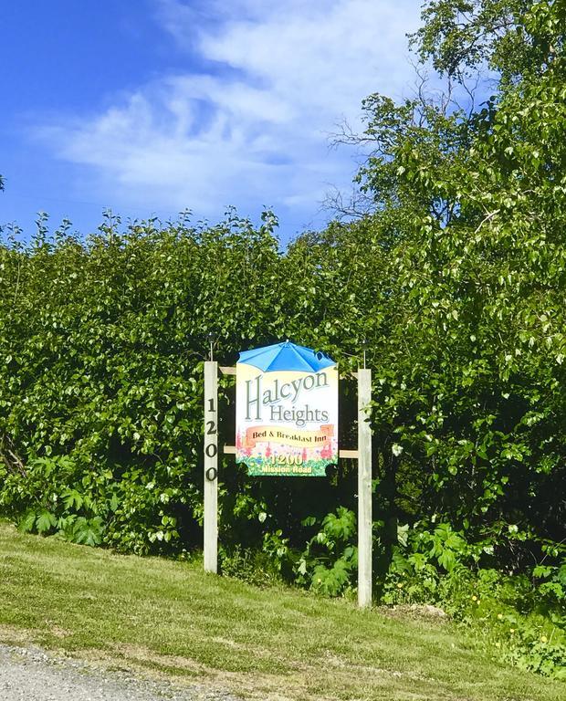 Halcyon Heights B&B/Inn Homer Kültér fotó
