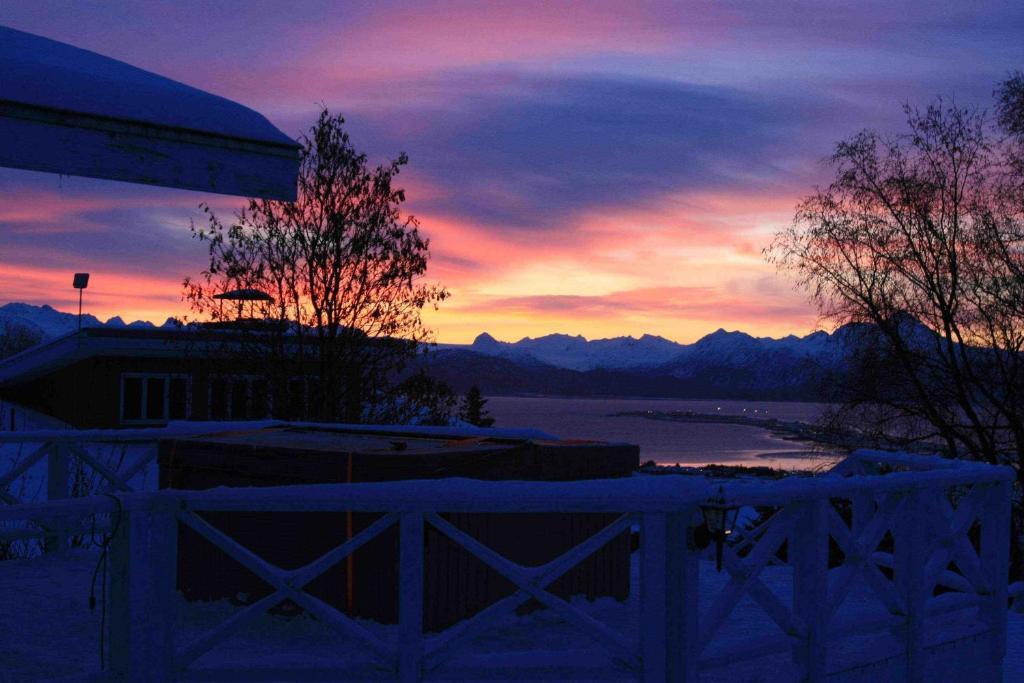Halcyon Heights B&B/Inn Homer Kültér fotó